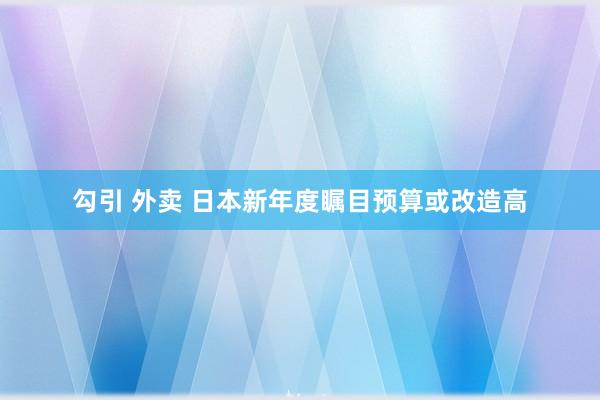 勾引 外卖 日本新年度瞩目预算或改造高