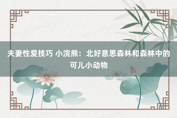夫妻性爱技巧 小浣熊：北好意思森林和森林中的可儿小动物