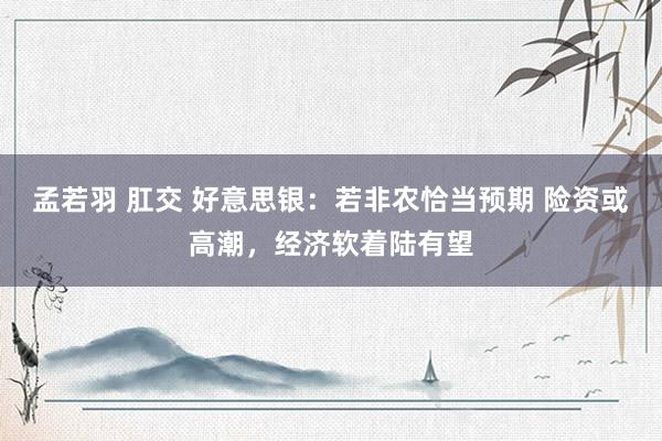 孟若羽 肛交 好意思银：若非农恰当预期 险资或高潮，经济软着陆有望