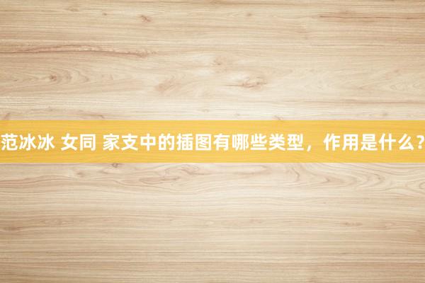 范冰冰 女同 家支中的插图有哪些类型，作用是什么？