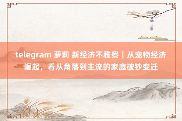 telegram 萝莉 新经济不雅察｜从宠物经济崛起，看从角落到主流的家庭破钞变迁