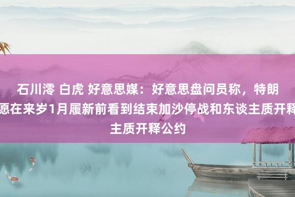 石川澪 白虎 好意思媒：好意思盘问员称，特朗普但愿在来岁1月履新前看到结束加沙停战和东谈主质开释公约