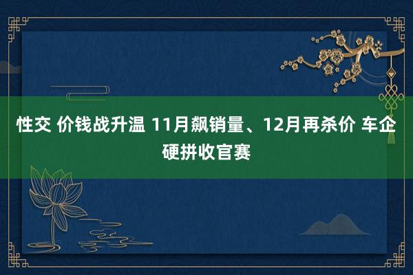 性交 价钱战升温 11月飙销量、12月再杀价 车企硬拼收官赛