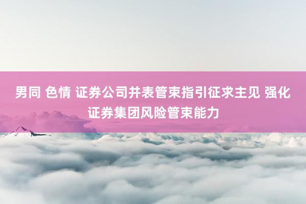 男同 色情 证券公司并表管束指引征求主见 强化证券集团风险管束能力