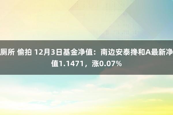 厕所 偷拍 12月3日基金净值：南边安泰搀和A最新净值1.1471，涨0.07%