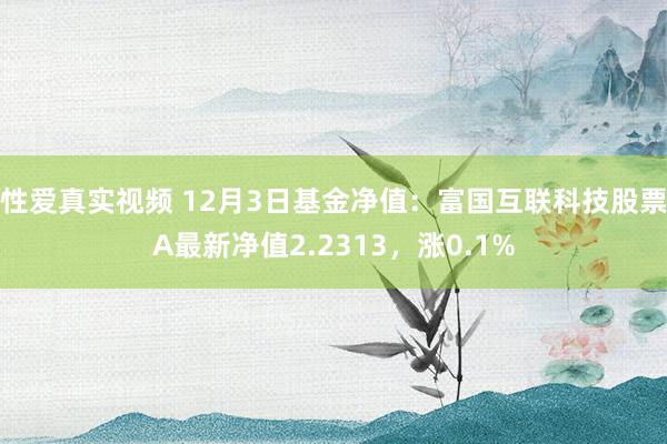 性爱真实视频 12月3日基金净值：富国互联科技股票A最新净值2.2313，涨0.1%