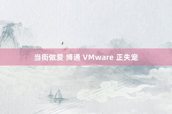 当街做爱 博通 VMware 正失宠