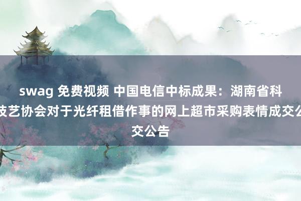 swag 免费视频 中国电信中标成果：湖南省科学技艺协会对于光纤租借作事的网上超市采购表情成交公告