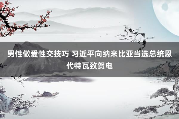 男性做爱性交技巧 习近平向纳米比亚当选总统恩代特瓦致贺电