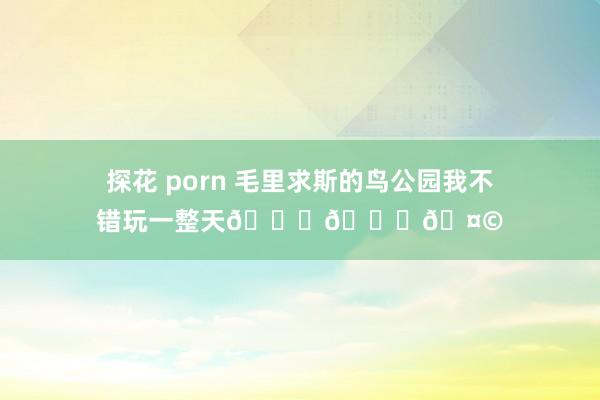 探花 porn 毛里求斯的鸟公园我不错玩一整天🙉😎🤩