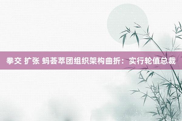 拳交 扩张 蚂荟萃团组织架构曲折：实行轮值总裁