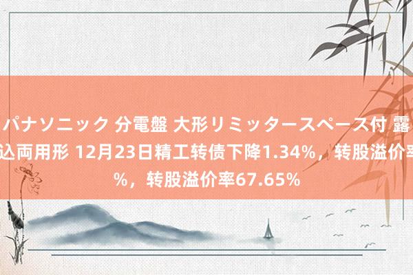 パナソニック 分電盤 大形リミッタースペース付 露出・半埋込両用形 12月23日精工转债下降1.34%，转股溢价率67.65%