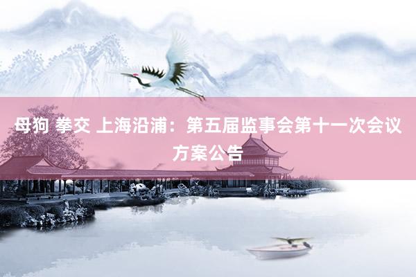 母狗 拳交 上海沿浦：第五届监事会第十一次会议方案公告