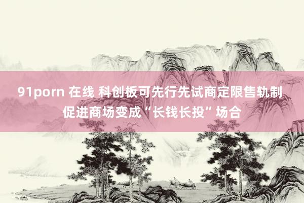 91porn 在线 科创板可先行先试商定限售轨制 促进商场变成“长钱长投”场合