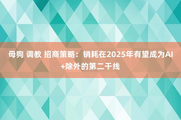 母狗 调教 招商策略：销耗在2025年有望成为AI+除外的第二干线