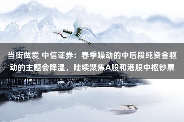 当街做爱 中信证券：春季躁动的中后段纯资金驱动的主题会降温，陆续聚焦A股和港股中枢钞票