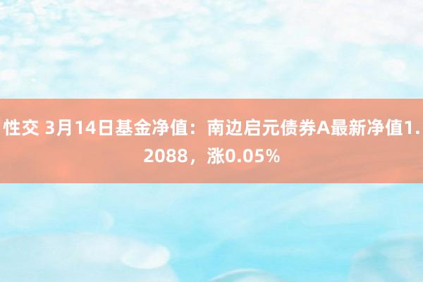 性交 3月14日基金净值：南边启元债券A最新净值1.2088，涨0.05%