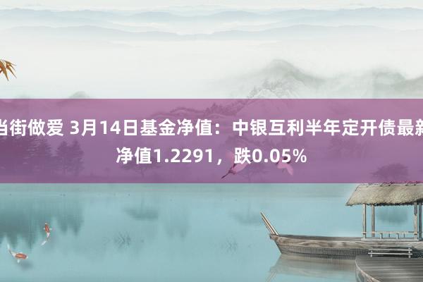 当街做爱 3月14日基金净值：中银互利半年定开债最新净值1.2291，跌0.05%