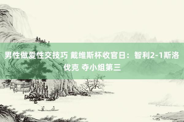男性做爱性交技巧 戴维斯杯收官日：智利2-1斯洛伐克 夺小组第三