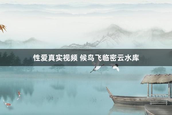 性爱真实视频 候鸟飞临密云水库