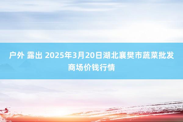 户外 露出 2025年3月20日湖北襄樊市蔬菜批发商场价钱行情
