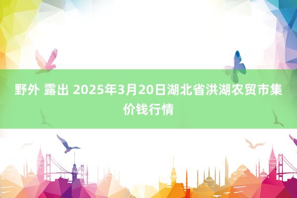 野外 露出 2025年3月20日湖北省洪湖农贸市集价钱行情