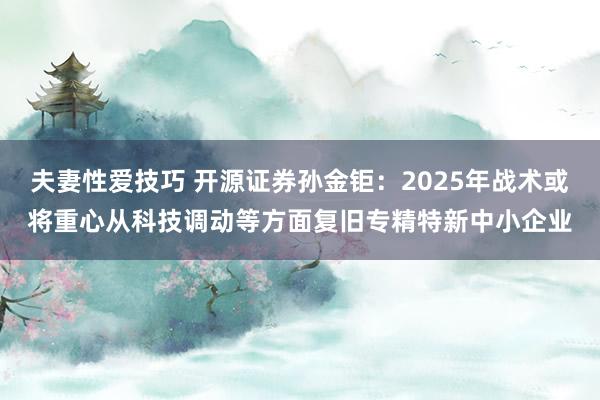 夫妻性爱技巧 开源证券孙金钜：2025年战术或将重心从科技调动等方面复旧专精特新中小企业