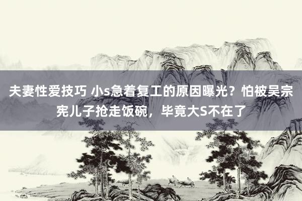 夫妻性爱技巧 小s急着复工的原因曝光？怕被吴宗宪儿子抢走饭碗，毕竟大S不在了