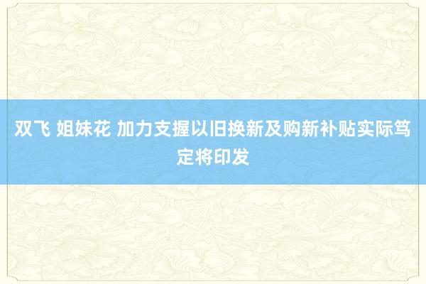 双飞 姐妹花 加力支握以旧换新及购新补贴实际笃定将印发