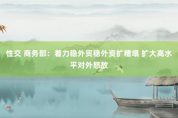 性交 商务部：着力稳外贸稳外资扩糟塌 扩大高水平对外怒放