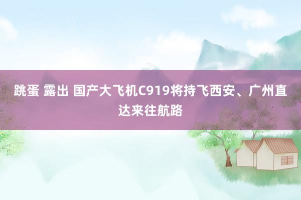 跳蛋 露出 国产大飞机C919将持飞西安、广州直达来往航路