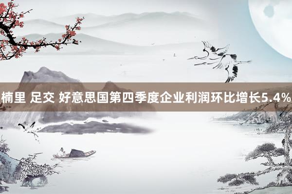 楠里 足交 好意思国第四季度企业利润环比增长5.4%