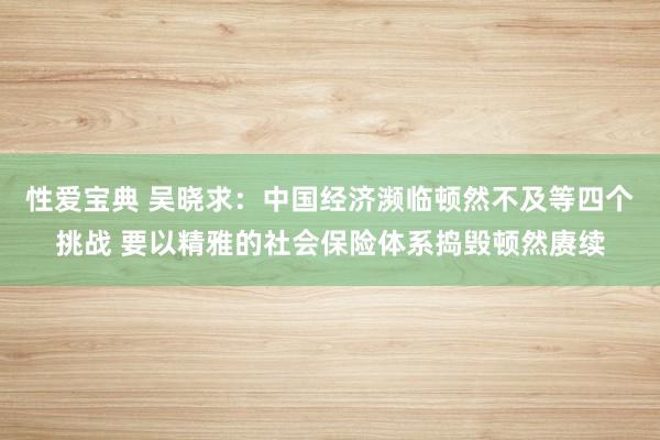 性爱宝典 吴晓求：中国经济濒临顿然不及等四个挑战 要以精雅的社会保险体系捣毁顿然赓续