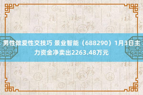男性做爱性交技巧 景业智能（688290）1月3日主力资金净卖出2263.48万元