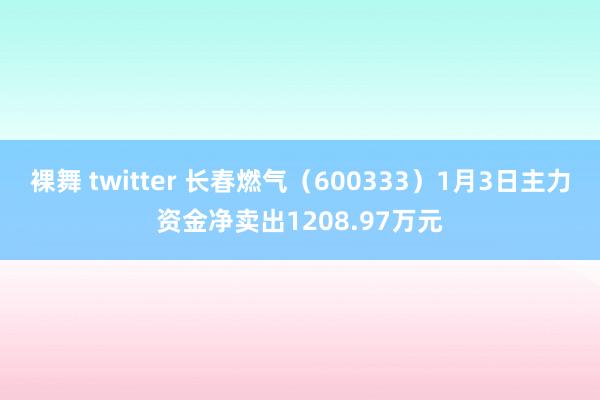 裸舞 twitter 长春燃气（600333）1月3日主力资金净卖出1208.97万元