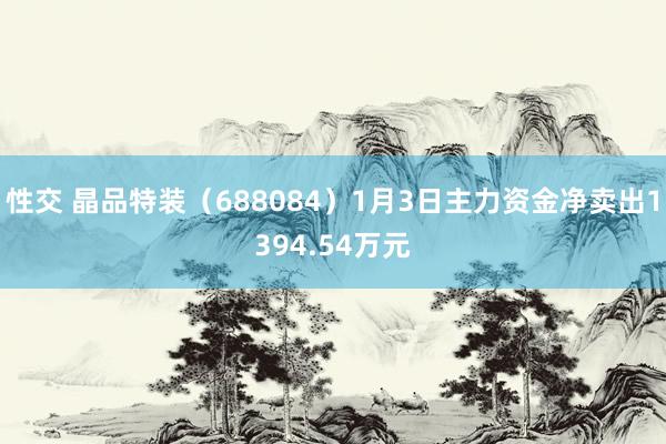 性交 晶品特装（688084）1月3日主力资金净卖出1394.54万元