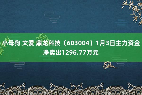 小母狗 文爱 鼎龙科技（603004）1月3日主力资金净卖出1296.77万元
