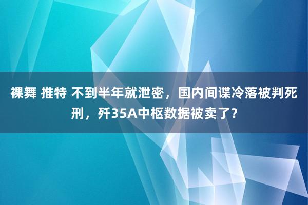 裸舞 推特 不到半年就泄密，国内间谍冷落被判死刑，歼35A中枢数据被卖了？
