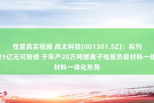 性爱真实视频 尚太科技(001301.SZ)：拟刊行不超25亿元可转债 于年产20万吨锂离子电板负极材料一体化形势