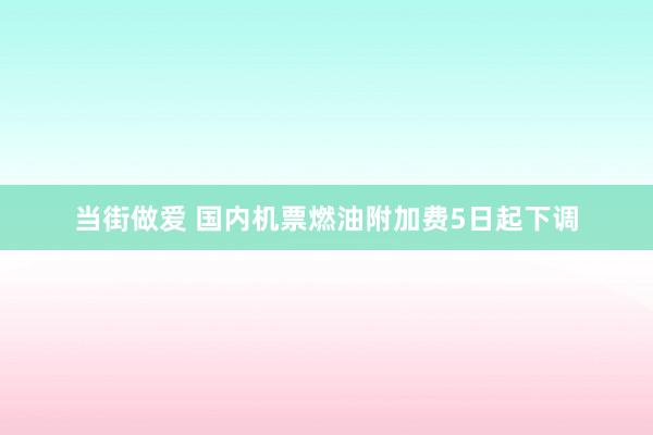 当街做爱 国内机票燃油附加费5日起下调
