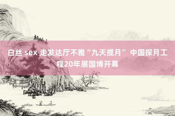 白丝 sex 走发达厅不雅“九天揽月” 中国探月工程20年展国博开幕