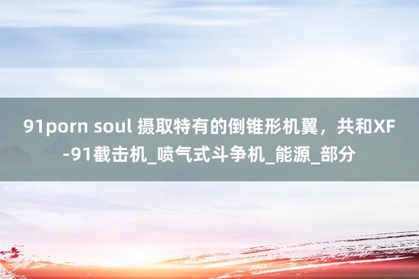 91porn soul 摄取特有的倒锥形机翼，共和XF-91截击机_喷气式斗争机_能源_部分