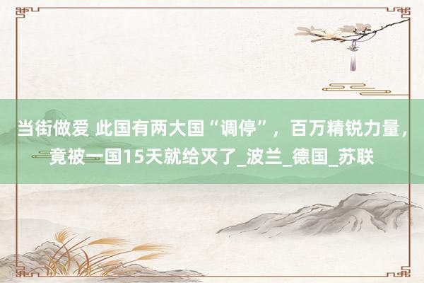 当街做爱 此国有两大国“调停”，百万精锐力量，竟被一国15天就给灭了_波兰_德国_苏联
