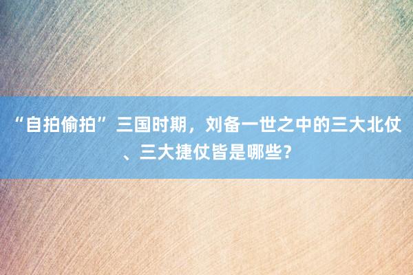 “自拍偷拍” 三国时期，刘备一世之中的三大北仗、三大捷仗皆是哪些？