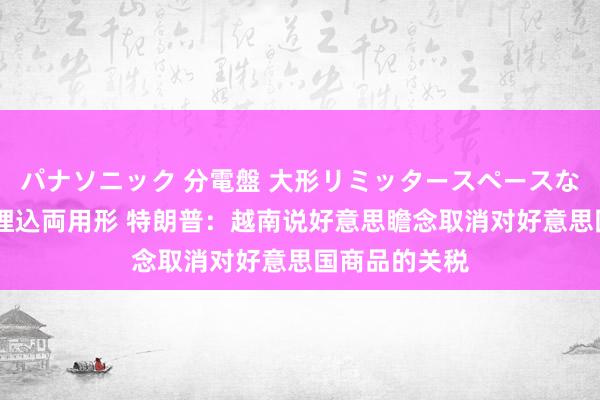 パナソニック 分電盤 大形リミッタースペースなし 露出・半埋込両用形 特朗普：越南说好意思瞻念取消对好意思国商品的关税