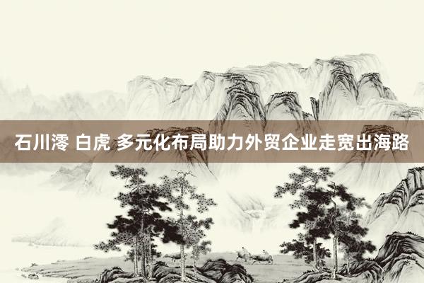石川澪 白虎 多元化布局助力外贸企业走宽出海路