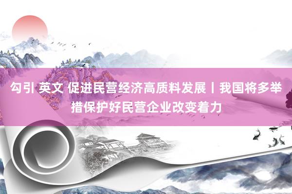 勾引 英文 促进民营经济高质料发展丨我国将多举措保护好民营企业改变着力