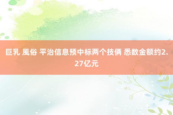 巨乳 風俗 平治信息预中标两个技俩 悉数金额约2.27亿元