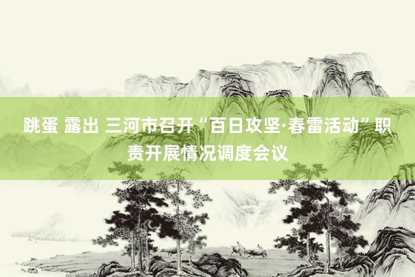跳蛋 露出 三河市召开“百日攻坚·春雷活动”职责开展情况调度会议
