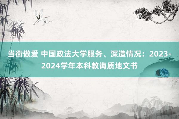 当街做爱 中国政法大学服务、深造情况：2023-2024学年本科教诲质地文书